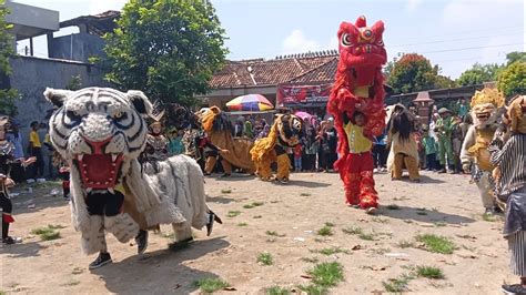 Can Macanan Barongsai Tampil Di Ponpes Milik Yai Yashadi Sidoarjo