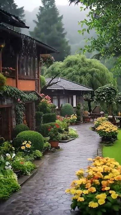 Rainfall Serenity Calming Nature Rain Sounds For Deep Relaxation Rain