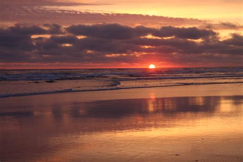 UPDATED A Rare Stranding On Oregon Coast Fin Whale Washes Up Near Seaside