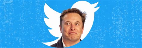 Elon Musk Chính Thức Sở Hữu Twitter ăn Mừng Bằng Cách Sa Thải Ngay Ceo