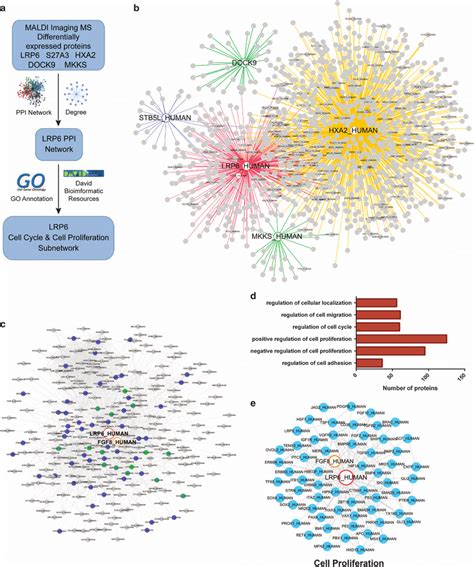 Bioinformatics Analysis Of Proteins Identified From Maldi Ims A