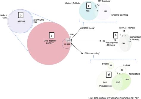 Identified Peptide Types A Overlap Of Significant Peptides Between Download Scientific