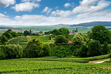 La Montagne De Reims