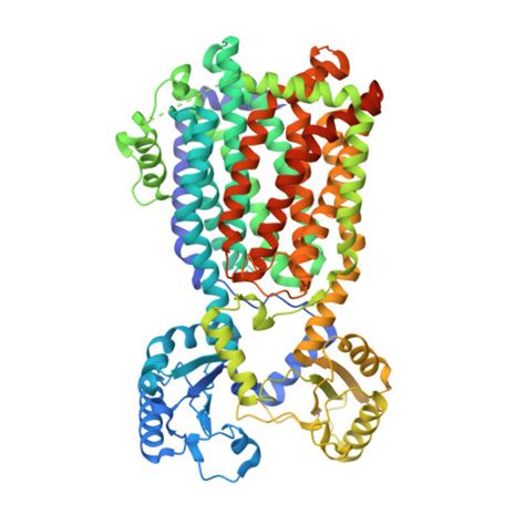 Rcsb Pdb Qkk Cryo Em Structure Of Mmpl From Mycobacterium