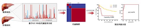 我组利用代谢组学进行肝癌预后的研究取得新进展 生物分子高分辨分离分析及代谢组学研究组