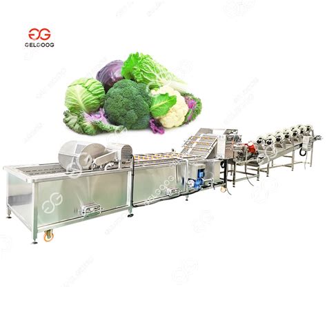 Gelgoog Conveyor Belt Ozone Vegetables And Fruit Washing Processing