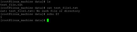 Error Messages In Linux Apogey Fm Ru