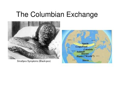 PPT - The Columbian Exchange PowerPoint Presentation, free download ...