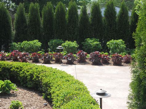 Boxwood Hostas Coral Bells Arnaldosbanquetcenter