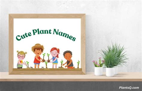 101 Cute & Funny Plant Names: Find the Perfect Cool Name