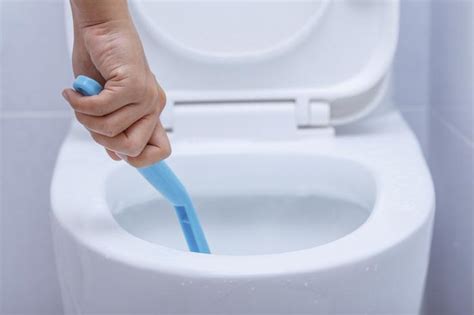 Things You Need to Know about Toilet Hygiene - Health changing