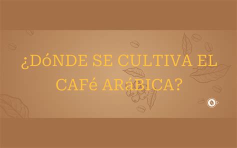 D Nde Se Cultiva El Caf Ar Bica Un Cafe Diferente