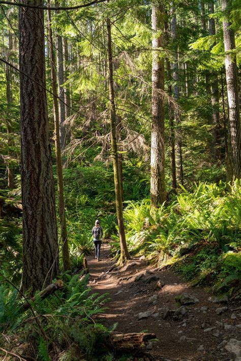 The 20 Best Hikes Near Seattle A Complete Hiking Guide