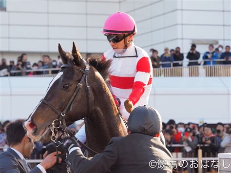 【安田記念】出走馬の調教後の馬体重