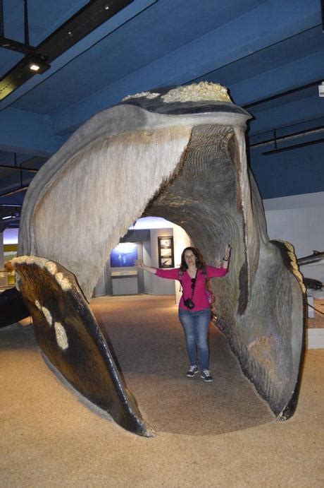 Naturhistoriska Riksmuseet - Paperblog