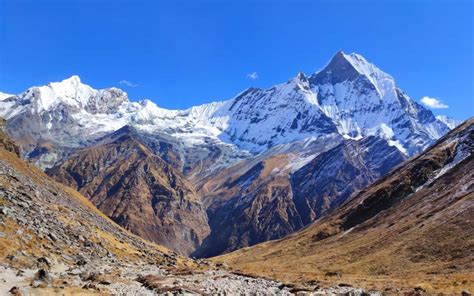 Annapurna Base Camp Vs Annapurna Circuit Which Trek Is Right For You