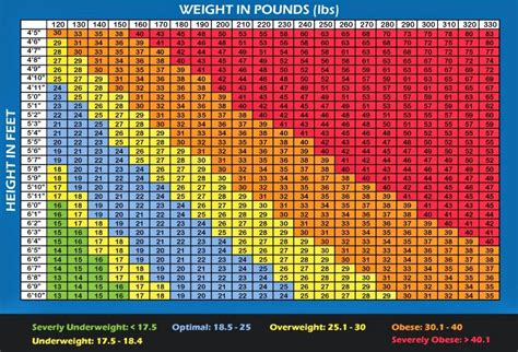 Body Fat Percentage Most Accurate Method Body Fat Percentage