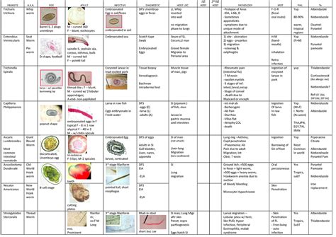 Clinical Parasitology Tables Parasite Ak Egg Adult Infective Diagnostic Host Loc Int Host 2