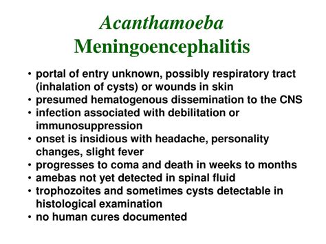 Ppt Naegleria Fowleri Primary Amebic Meningoencephalitis Pam Acanthamoeba Spp Granulomatous