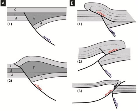 (A) Schematic diagram of a classical positive inversion structure; A, B ...