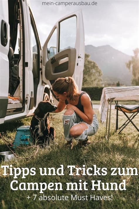 7 Must Haves Zum Campen Mit Hund Plus Tipps Tricks Mein