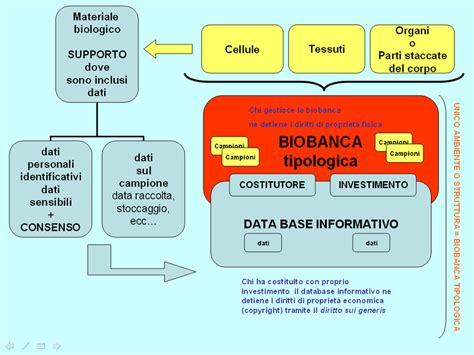 Mappa concettuale 2 l assetto della proprietà fisica della biobanca e