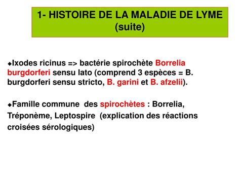 Ppt Borreliose De Lyme Place De La S Rologie Dans Le Diagnostic