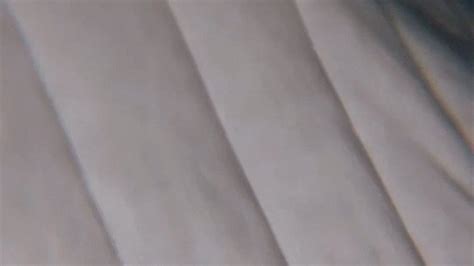 Anal Vore Birth Max Reynard Clips Sale