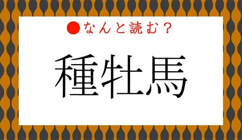 「基礎牝馬」ってなんと読む？「きそめすうま」ではありませんよ！ Preciousjp（プレシャス）