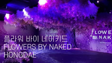 Flowers By Naked Hongdae Youtube