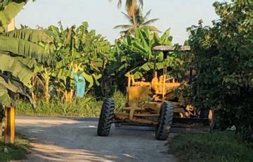 Dan Plataneros De Coahuayana Mantenimiento A Caminos Saca Cosechas