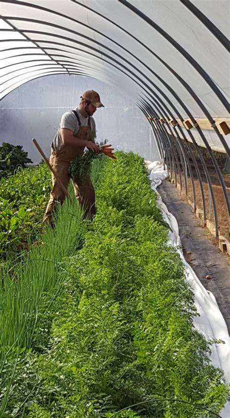 Spreading Oaks Farm Rockmart Farmers Market