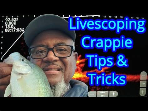 Crappie Fishing With Livescope Livescope Crappie Fishing YouTube