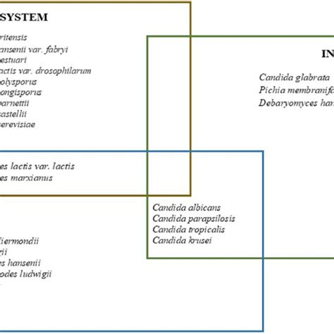 Species diversity of yeast-like fungi in different environments ...