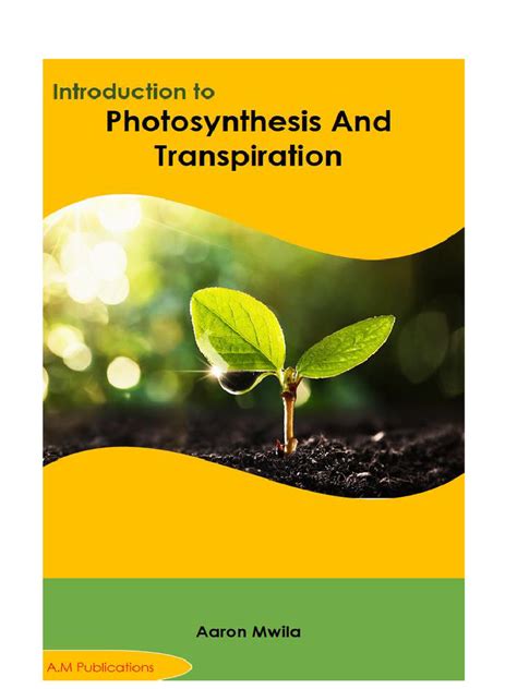 Photosynthesis and Transpiration - Copy - 031804 | PDF | Photosynthesis | Water