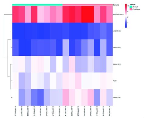 Differentially Expressed Long Non Coding Rnas Delncrnas Heatmap