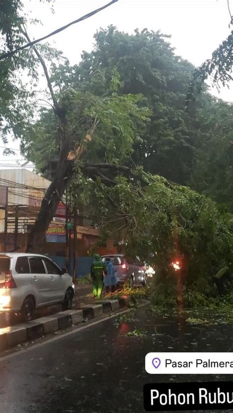 Hujan Deras Disertai Angin Kencang Guyur Jakarta Enam Pohon Tumbang