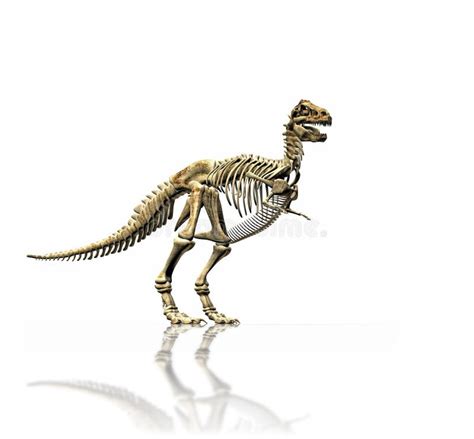 T.rex skeleton stock illustration. Illustration of icon - 3851070