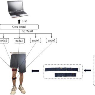 Schematic diagram of eight lower limb movements. | Download Scientific ...