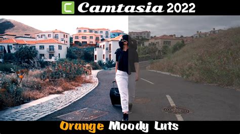 Camtasia A Modern Day Colour Correction Software Camtasia