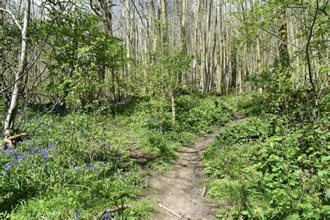 Footpath Up The Hillside In Great © David Martin Geograph Britain