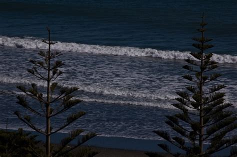 Paekakariki Beach: a photostudy