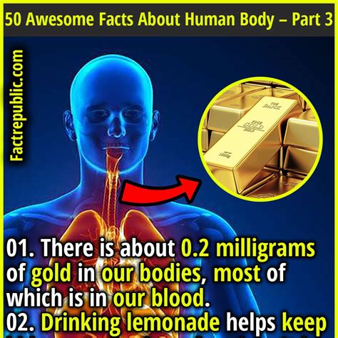 50 awesome facts about human body – part 3 – Artofit