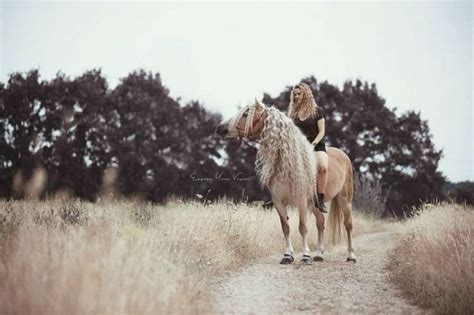 Лошадь с необыкновенной гривой покорила Сеть — Лайм