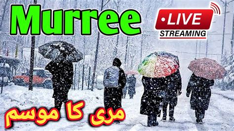 Murree Live Murree Live Today Mari Ki Sair Murree Weather Today