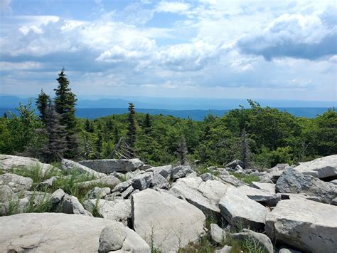 Things To See In The Dolly Sods Wilderness Traxplorio