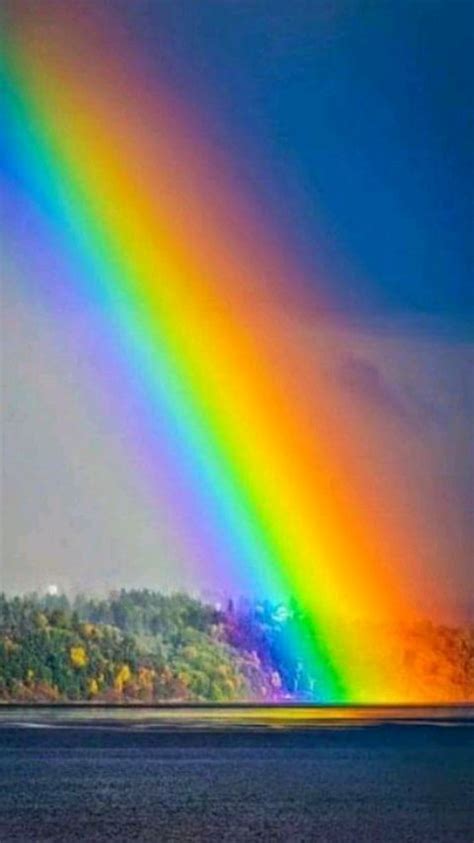 A Rainbow In The Sky Over Some Water