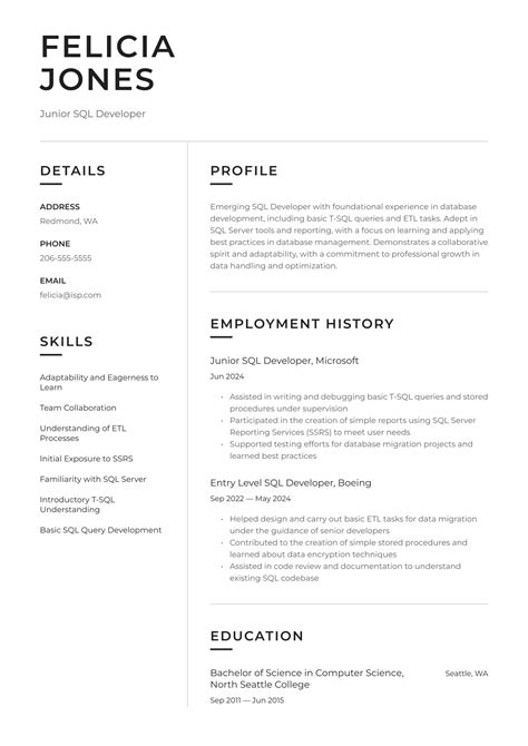 Sql Developer Resume Examples And Templates 2024 ·