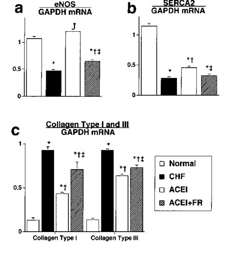 Pdf Bradykinin Improves Left Ventricular Diastolic Function Under