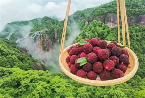 重磅惊喜，等你开箱！买仙居杨梅送神仙居门票啦 台州频道